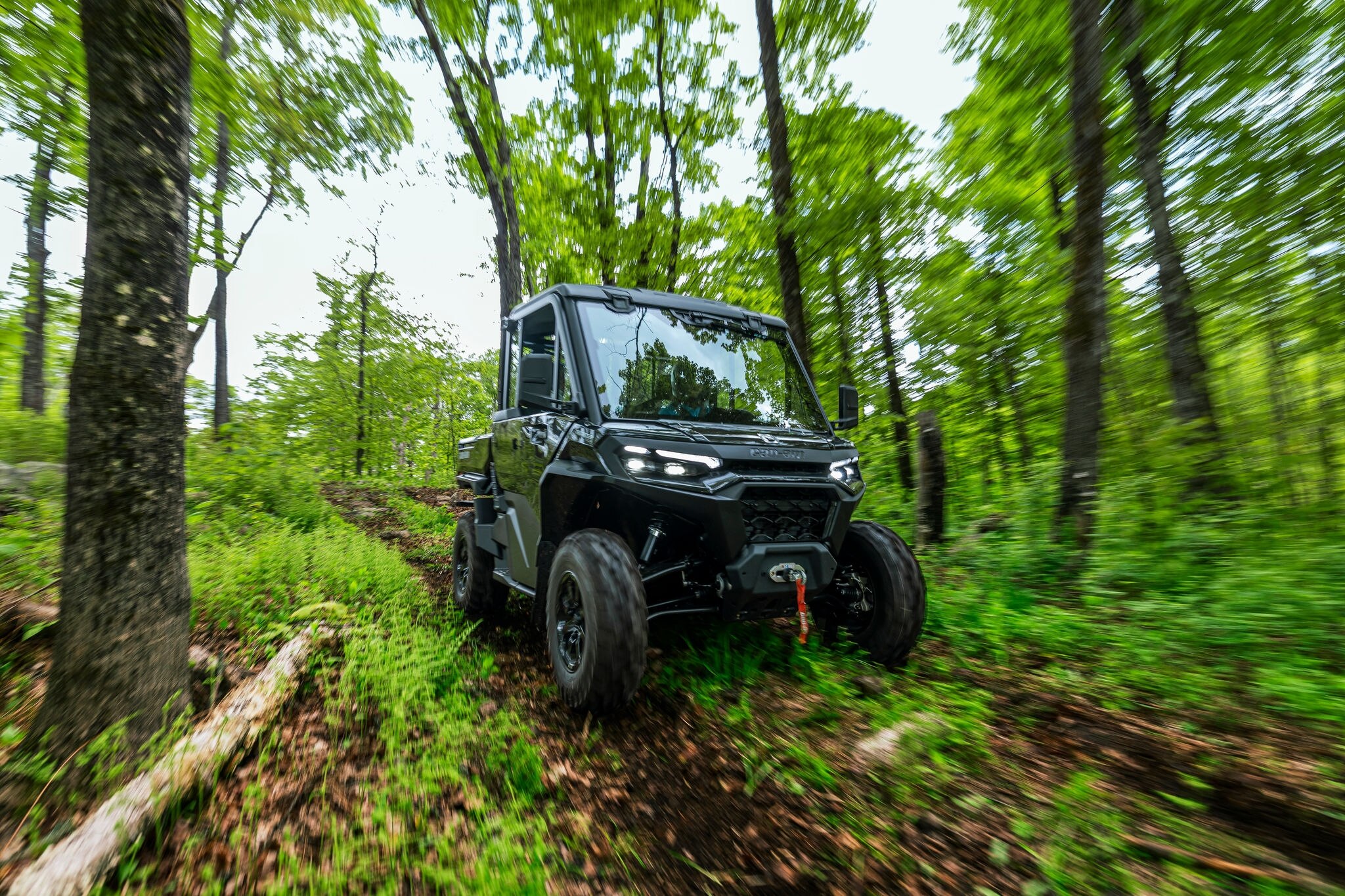 Traxter in action in the forest