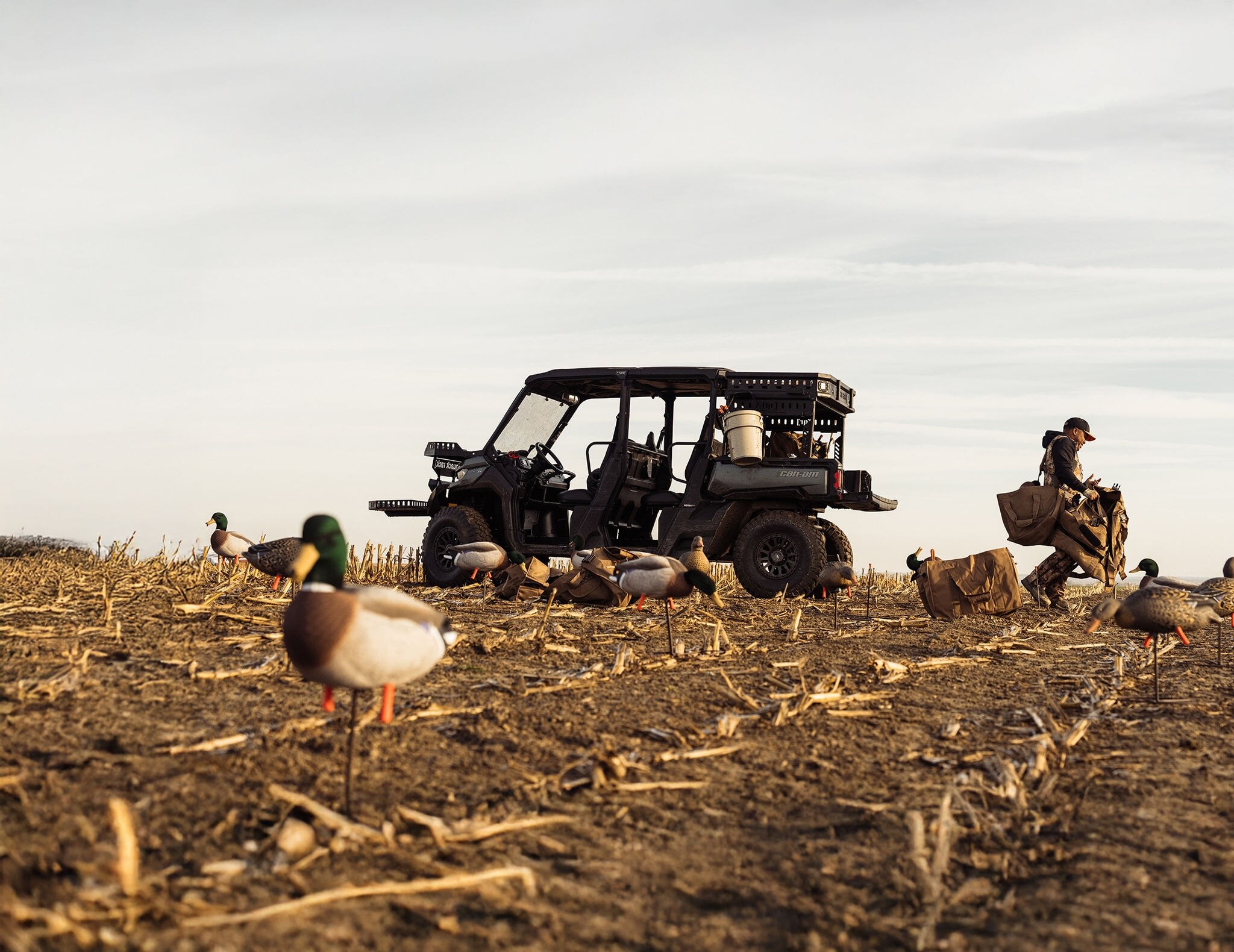 Can-Am side-by-side cerca de varios patos