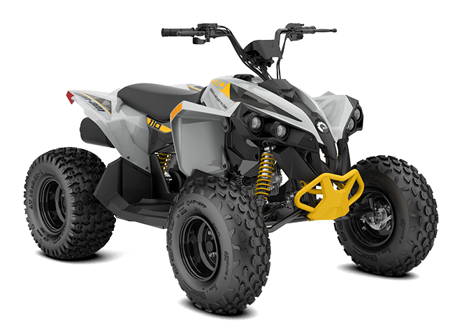 Renegade STD 110 EFI Model