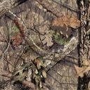 mossy-oak-break-up-country-camo