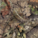 mossy-oak-break-up-country-camo