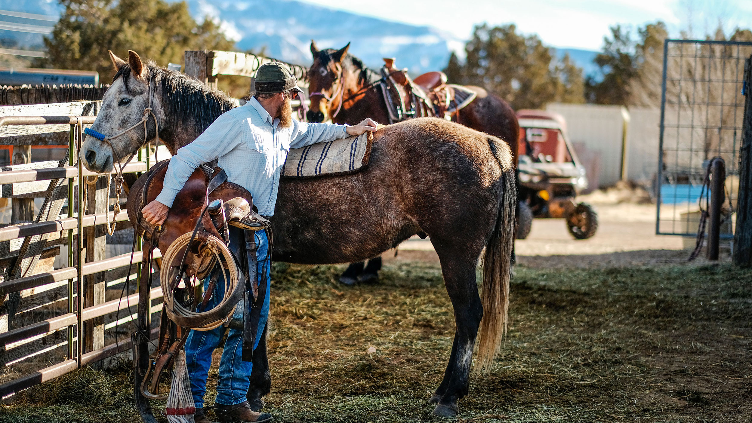 Um vaqueiro em um rancho de cavalos