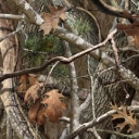 wildland-camo