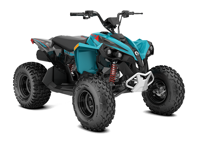 Renegade EFI